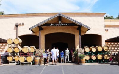 Top Rated Wineries Near Me: Discover the Best Local Wine Destinations