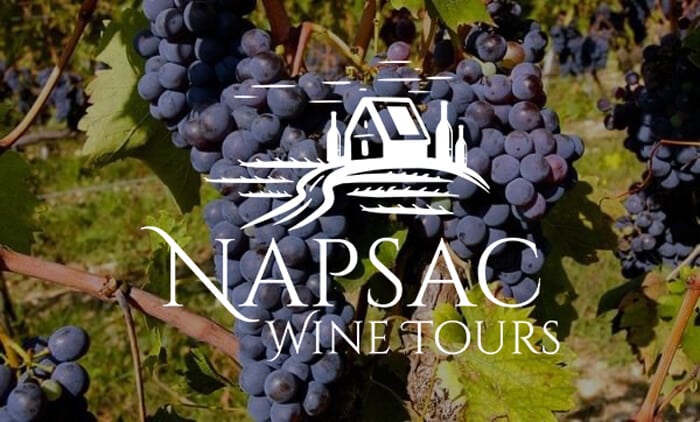 napsac tours logo over an image of grapes on a vine