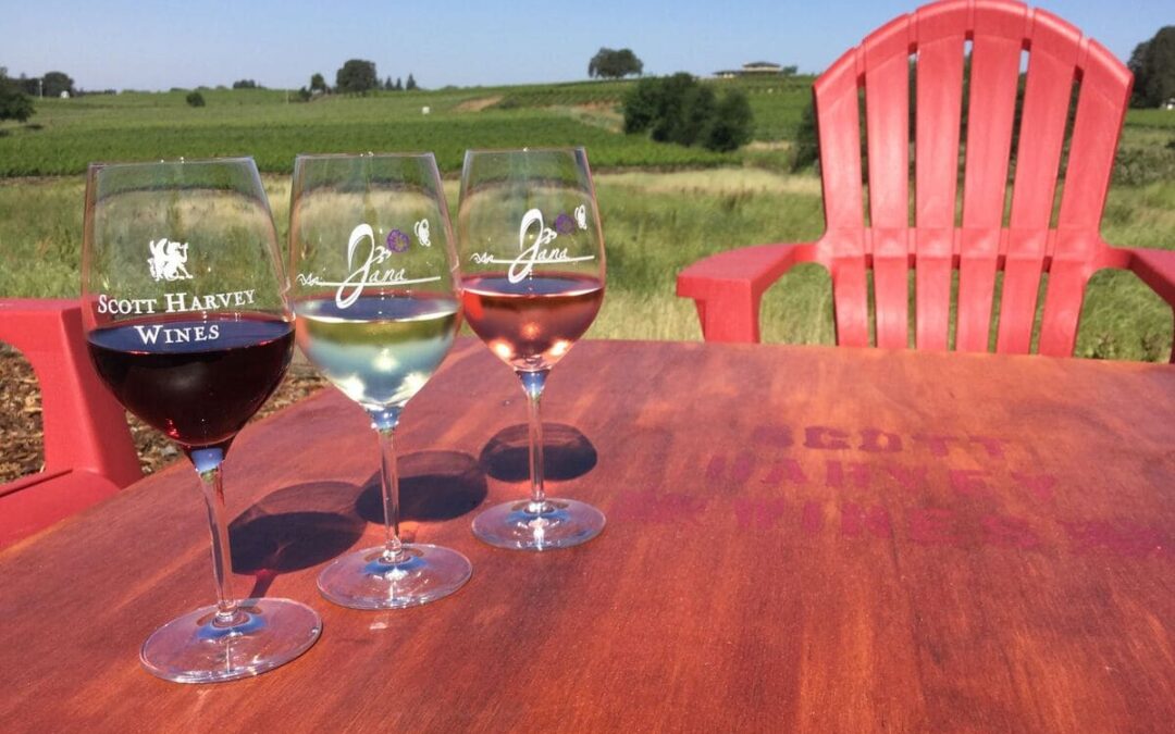 wine glasses sitting on table overlooking vineyards