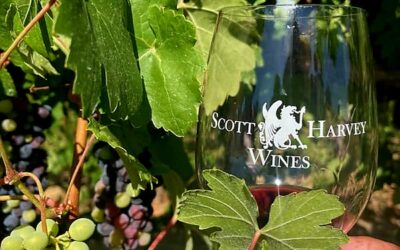 The Changing Global Vineyard Landscape