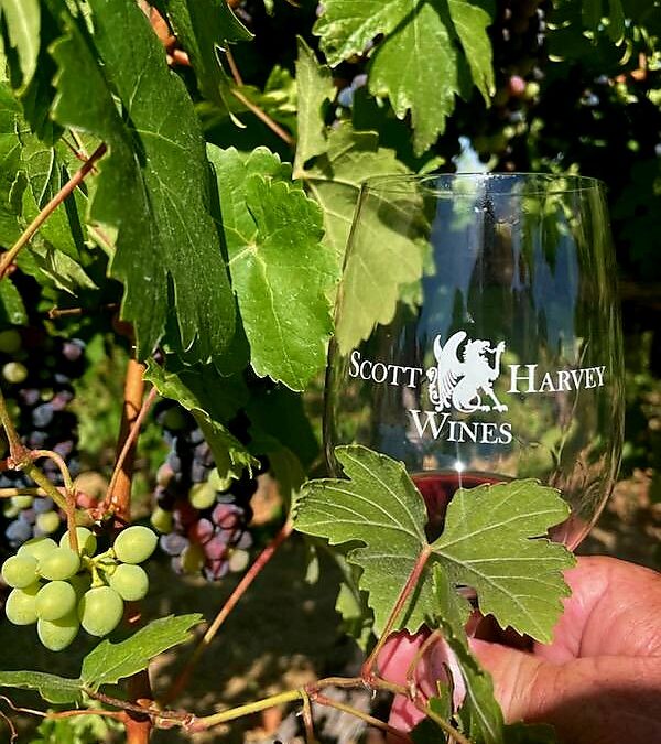 grapes with glass