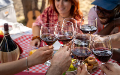 What Is a Barbera Wine? Unveiling the Hidden Gem of Italian Reds