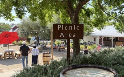 13 Places Named Shenandoah Across America, and Why California’s Is Wine Country