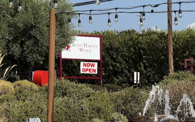 Scott Harvey Wines Launches AI-Optimized Brand Profile