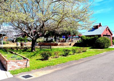 vineyard suite house front yard