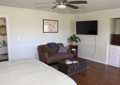 bedroom showing tv and mini fridge and couch