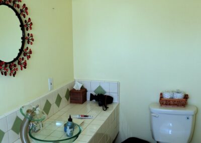 bathroom with toilet and sink area and mirror
