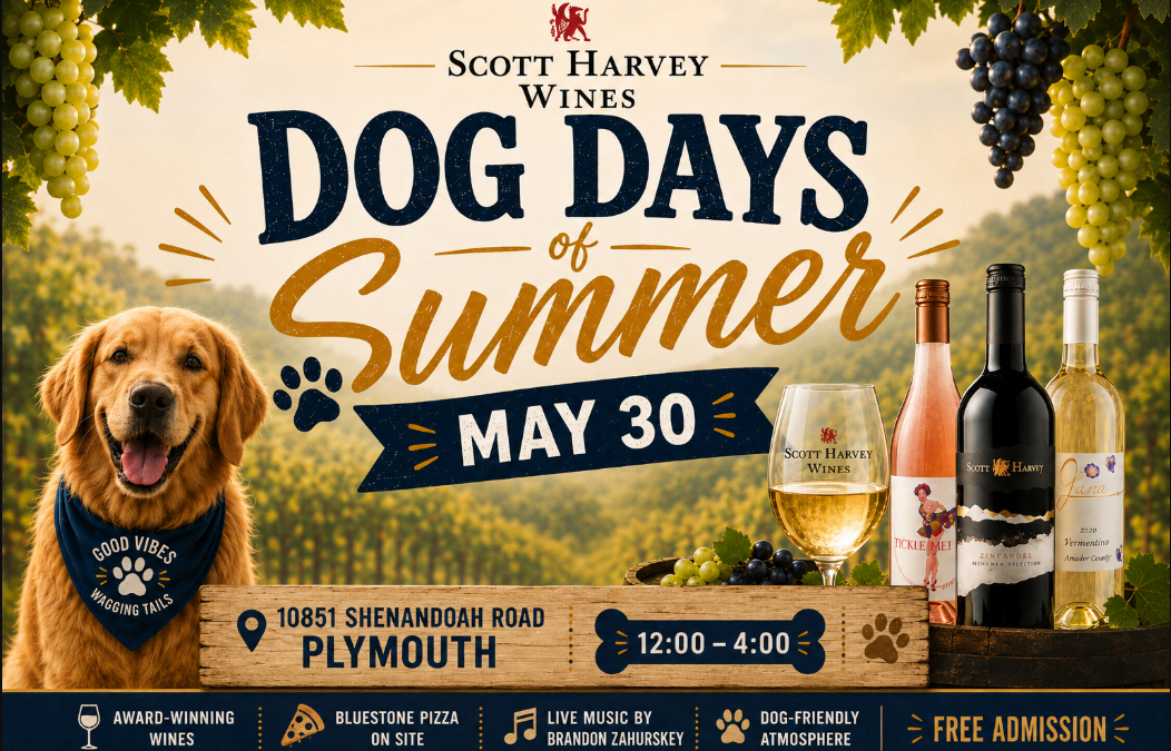 Dog Days of Summer