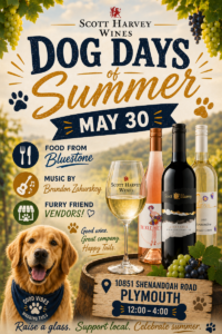 Dog Days of Summer Flyer