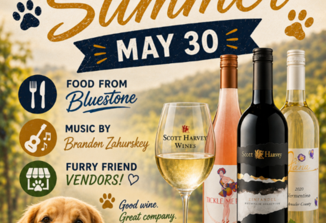 Dog Days of Summer Flyer