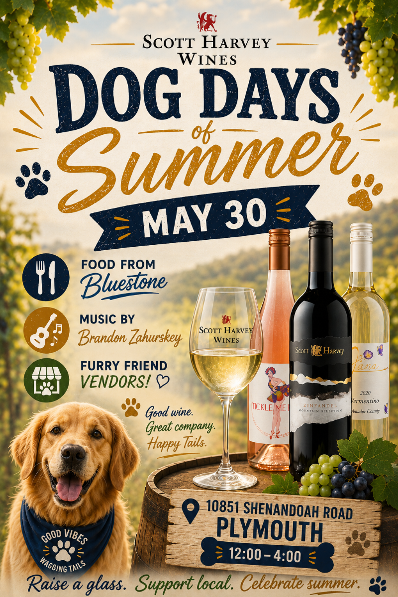 Dog Days of Summer Flyer