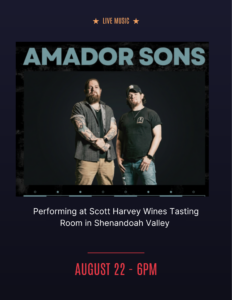 Amador Sons Music Duo
